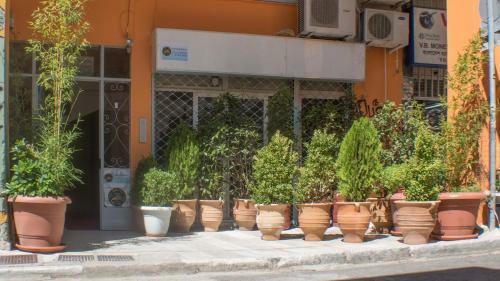 Acropolis Hostel