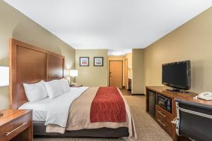 Hotel Comfort Inn & Suites