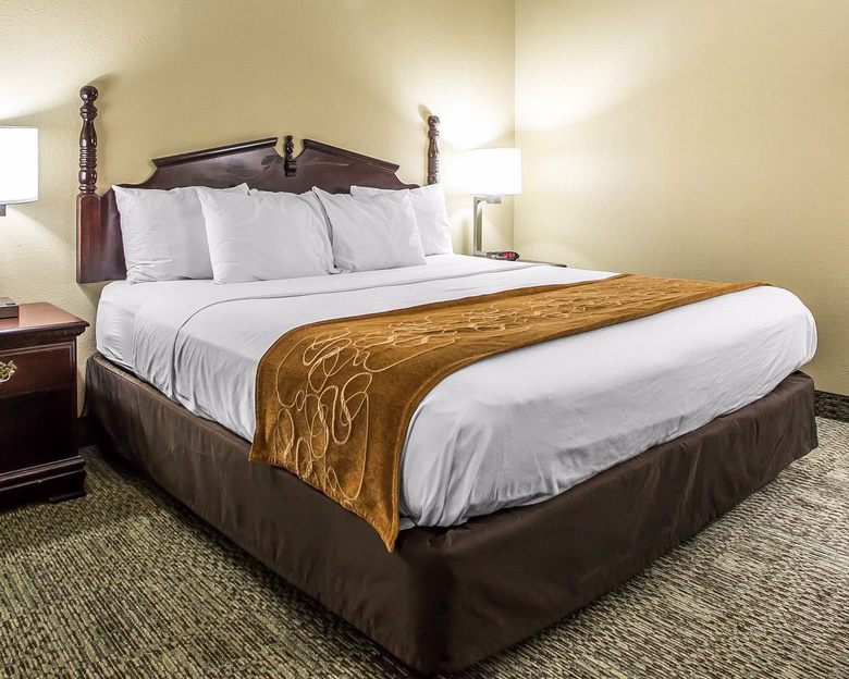 Hotel Comfort Suites Lansing