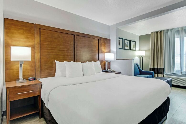Hotel Comfort Suites Lansing