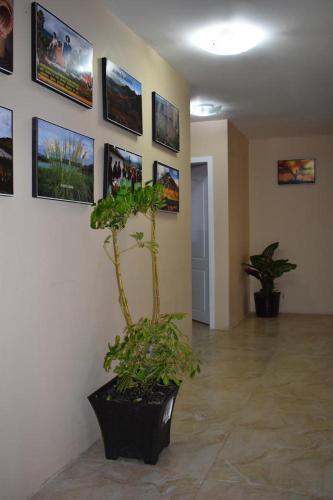 Apartamento Suites For You Otavalo