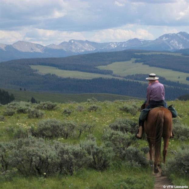 Hotel 320 Guest Ranch