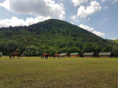 Agroturismo Farma Sotira