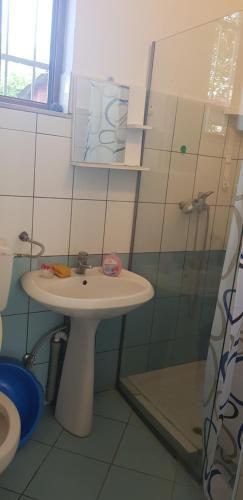 Hostal My Apartments Durres