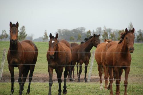 Excelente Casco De Estancia En Alquiler