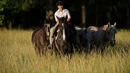 Lodge Estancia La Bandada