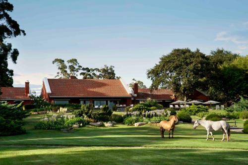 Agroturismo Estancia La Estrella