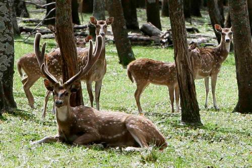 Agroturismo Estancia La Estrella