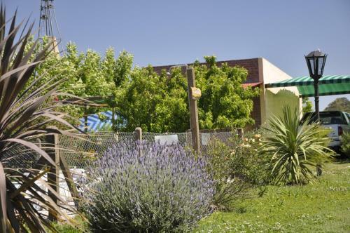 Posada R�o Tala