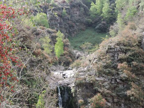 Caba�as Campo Huasi