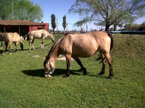 Agroturismo Quinta Pinzon