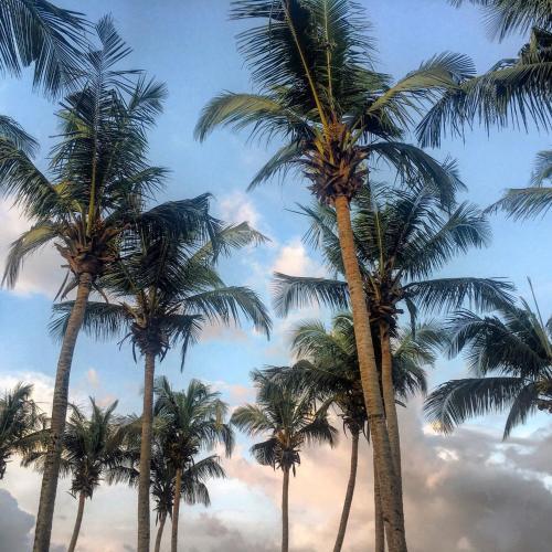 Hotel Koral Beach