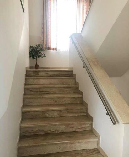 Hostal Gasthaus-pension Zum L�wen