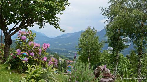 Hostal Familie Lemberger