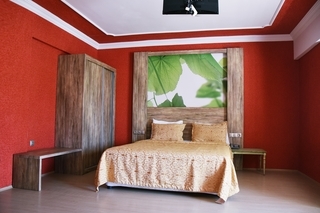 Hotel Delfi