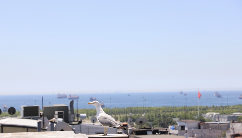 Istanbul Royal Hotel