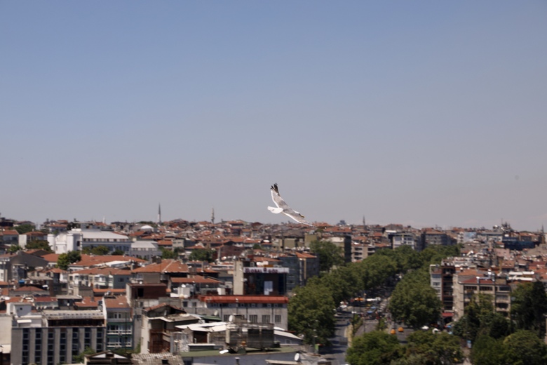Istanbul Royal Hotel