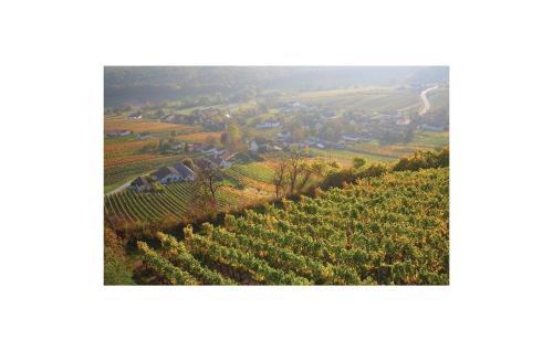 Studio Holiday Home In Eberau