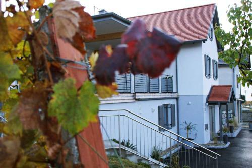 Bed & Breakfast Walters Weinquartier