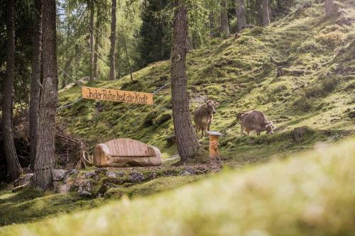 Posada Berghotel Schlickeralm 1.616 M