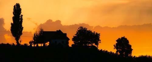 Hotel Weingut Dreisiebner Stammhaus