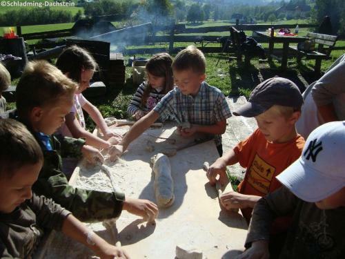 Naturpark Chalet Schladming-dachstein