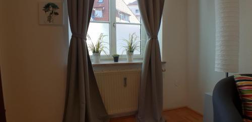 Amazing Apartment 5