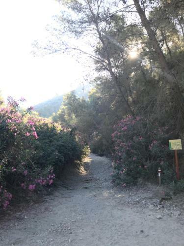 B&B The Lost Village El Acebuchal