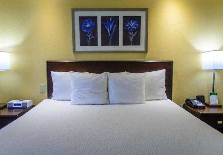Hotel Springhill Suites Houston Pearland
