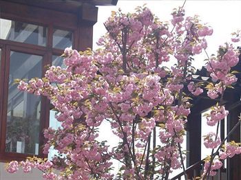 Redwall Jingshan Garden Hotel