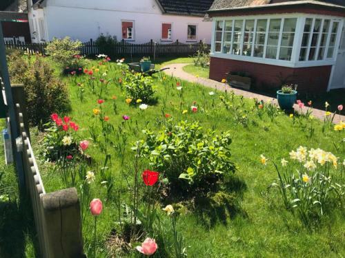 Apartamento H�s Sanskiin Ferienwohnung *driiwholt*