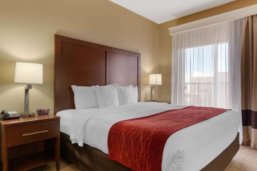 Hotel Comfort Inn & Suites Page