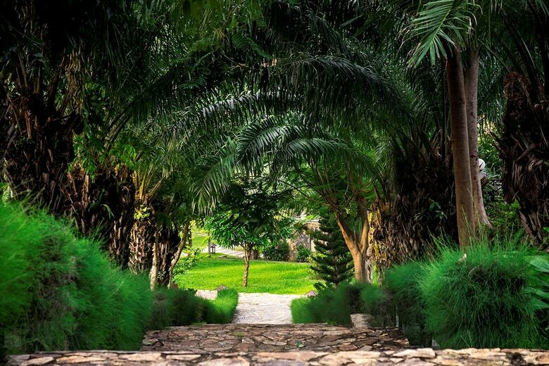 Hotel Romana Resort & Spa