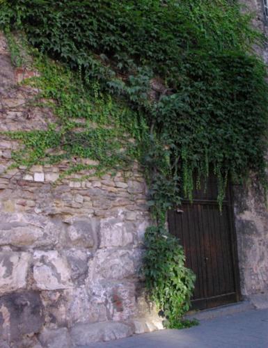 Apartamentos Aufhauser Hof Regensburg