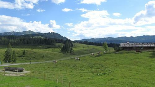 Hotel Winklmoos Sonnenalm