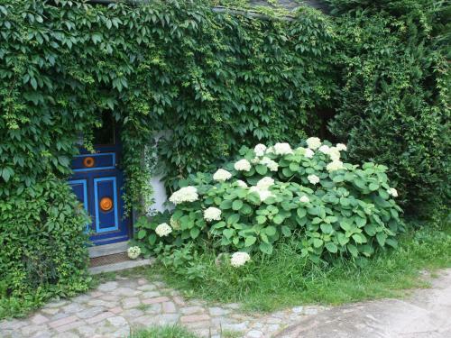 Pleasing Apartment In Retschow With Roof Terrace