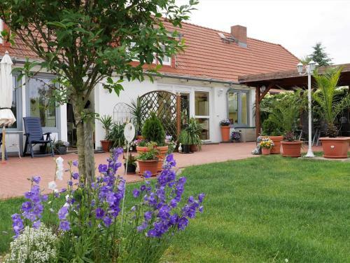 Pretty Apartment In Am Salzhaff With Fireplace