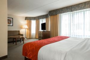 Hotel Comfort Suites South Burlington