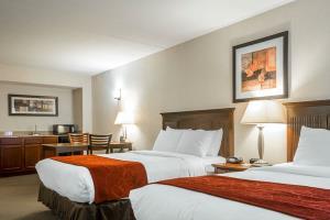 Hotel Comfort Suites South Burlington