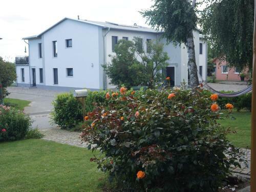 Spacious Sea View Mansion In Malchow