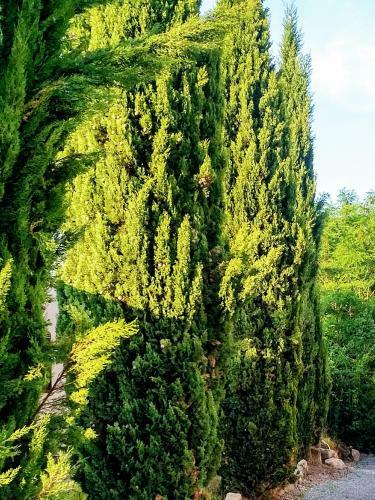 Apartamento Wohnen Im Orientalischen Ambiente