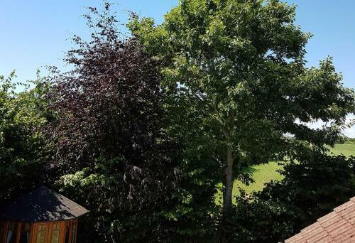 Apartamento Giese Fewo K�stengl�ck