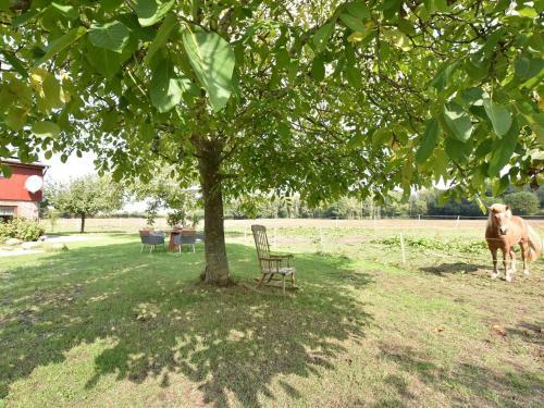 Exquisite Mansion In Pugholz Near Sea