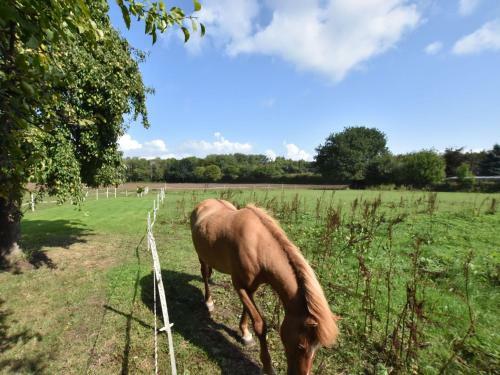 Charming Apartment In Pugholz Near Sea