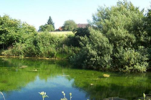 Agroturismo Hofgut Rickersreute