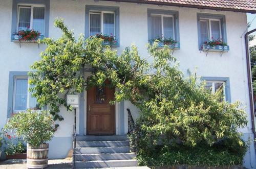 Agroturismo Hofgut Rickersreute