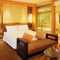 Hotel Nikko New Century