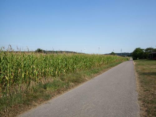 Spacious Holiday Home In Haserich Near Lake