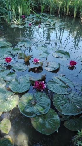 Agroturismo Farm Stay Lackovic