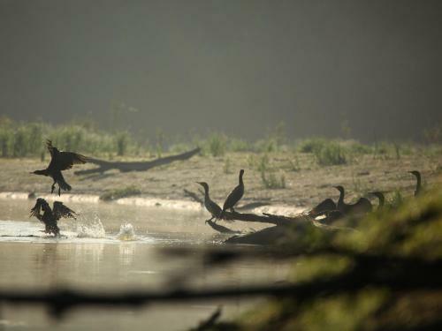 Hostal Apartments Vrata Baranje